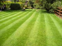 lawn-picture-2.jpg